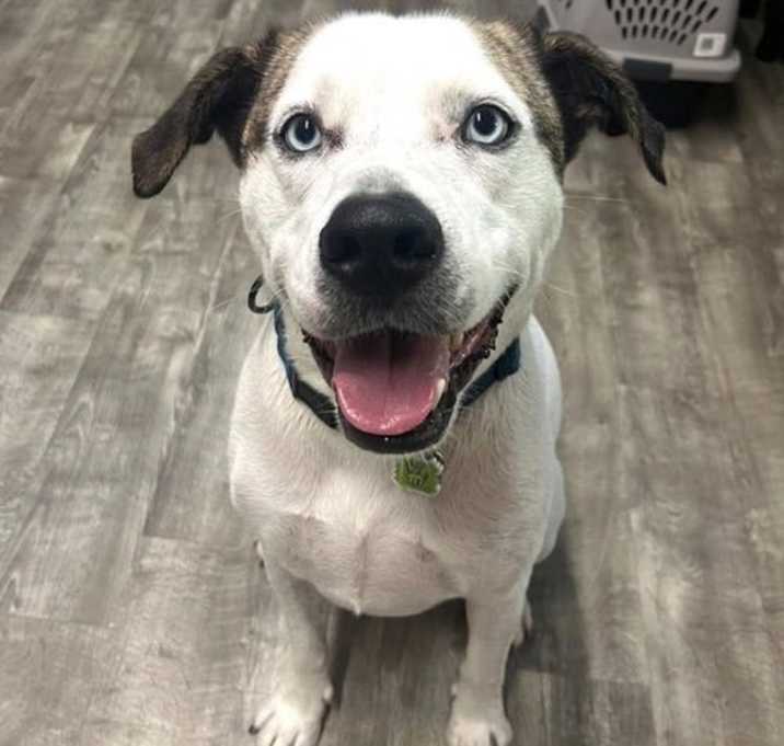 Photo of Casper