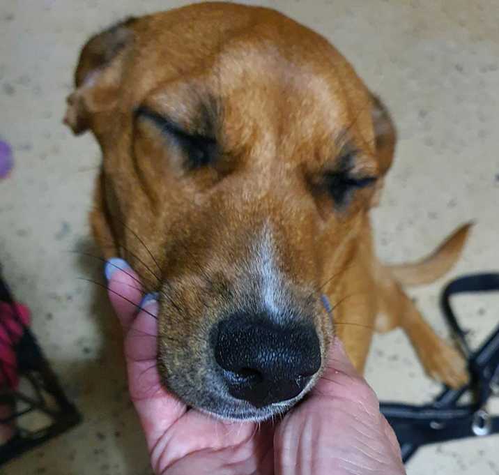 Photo of LUCY