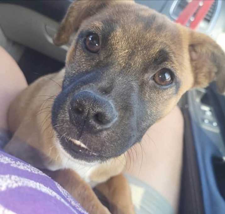Photo of Zelda
