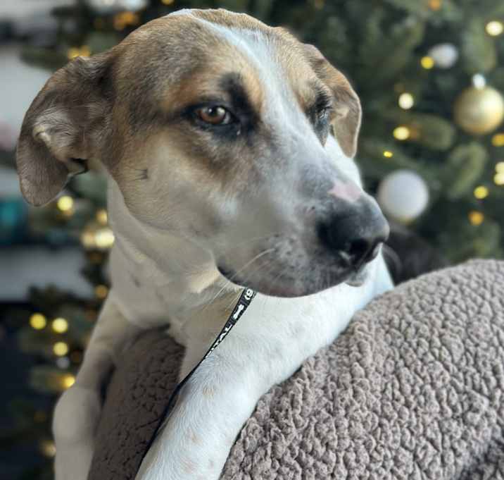 Photo of Laverne
