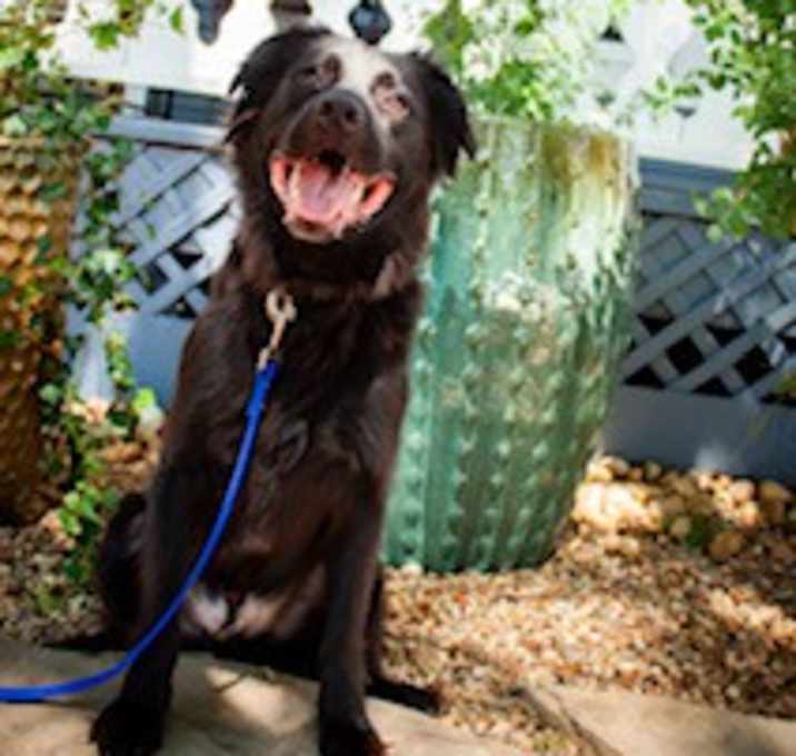 Photo of OSO