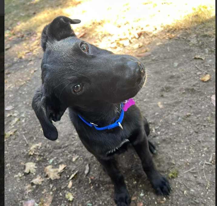 Photo of Cash