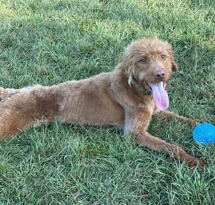 Photo of Coco