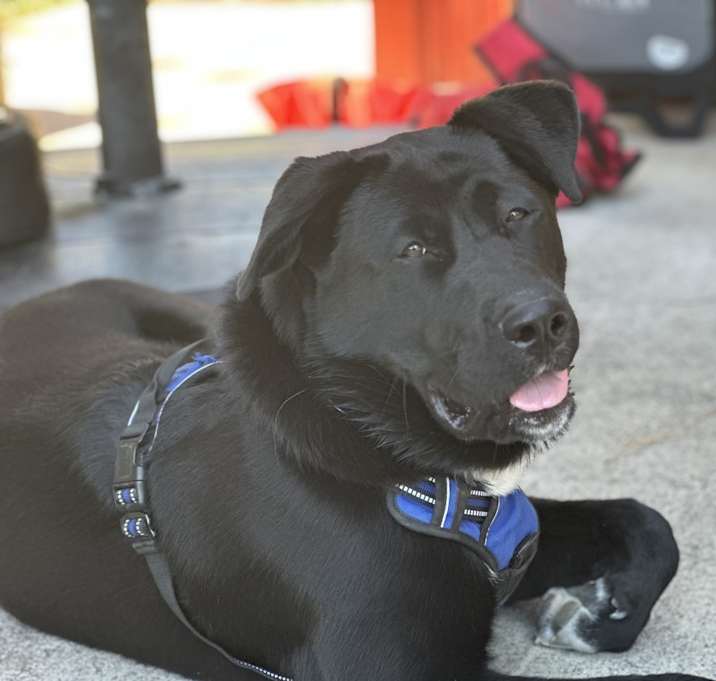 Photo of Benson