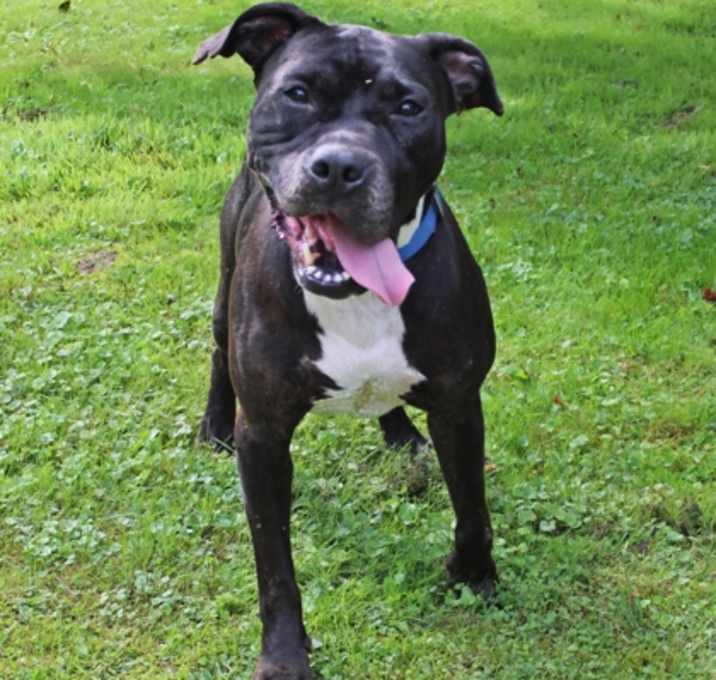 Photo of Barnum