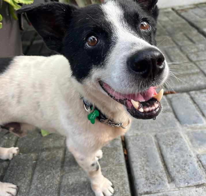 Photo of Gary
