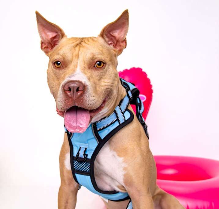 Photo of Cash