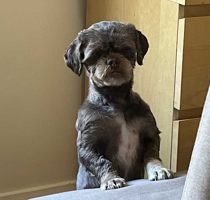 Photo of Emily: Needs Sponsors!