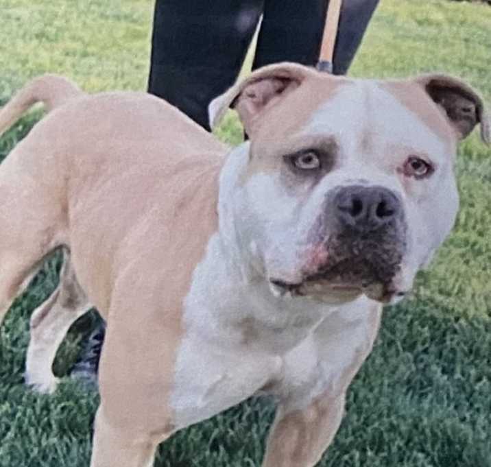 Photo of Biff