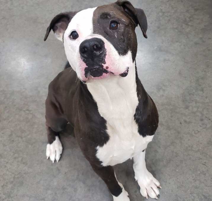 Photo of Tank