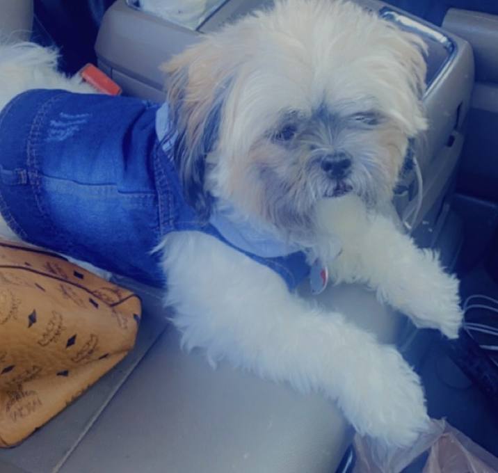 Photo of Manny
