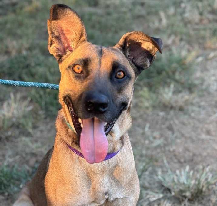 Photo of Zuri