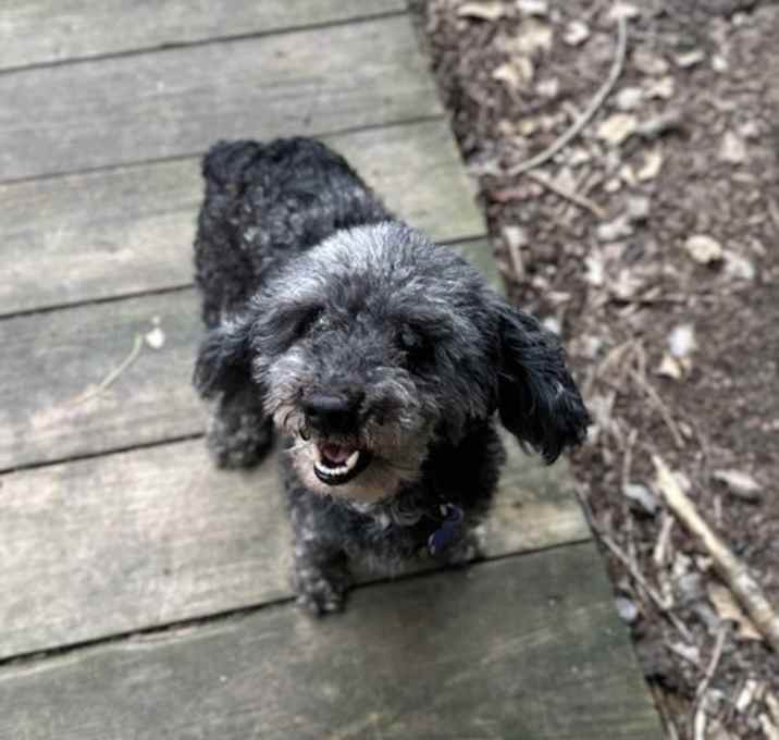 Photo of Blue