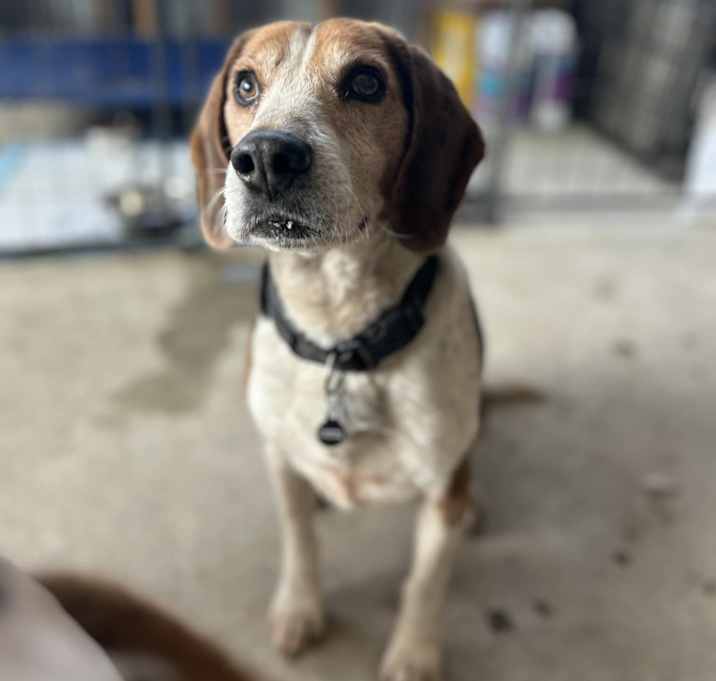 Photo of Tracker
