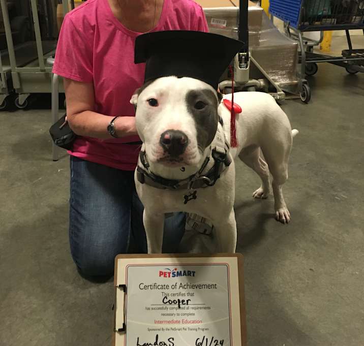 Photo of Cooper