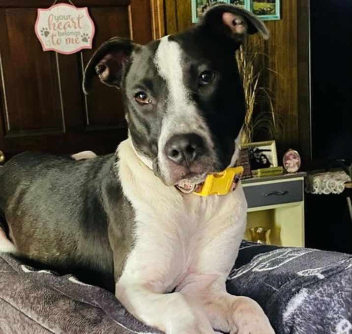 Photo of Zara