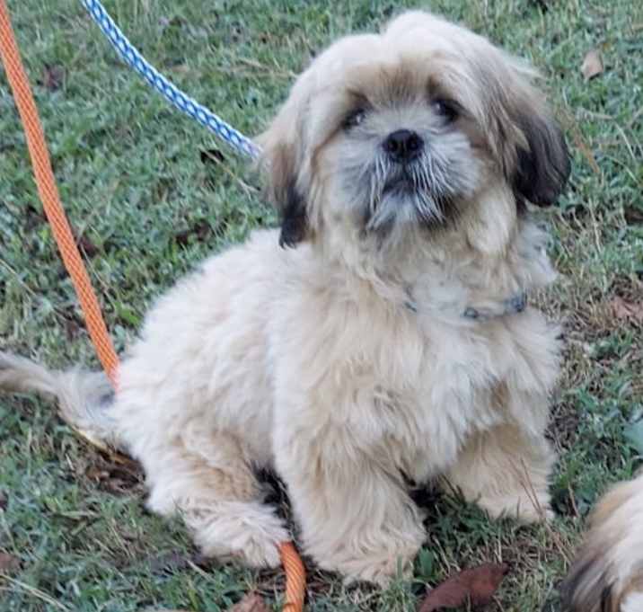 Photo of COOPER  sb