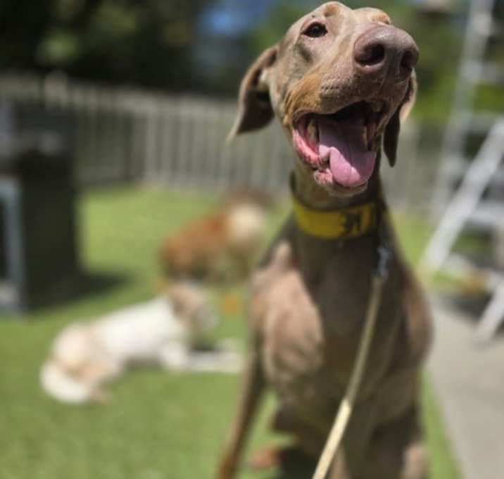 Photo of Marley Mae