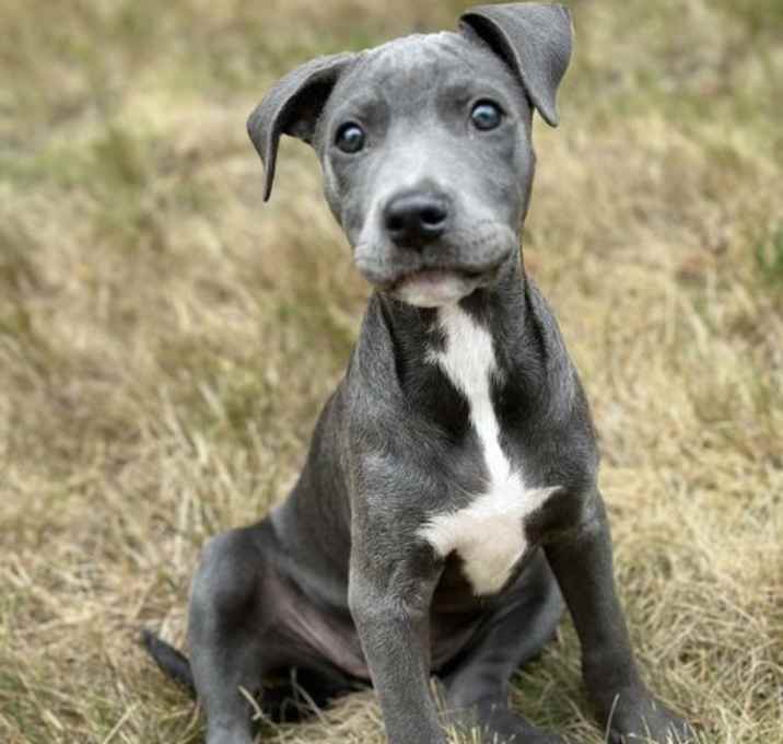 Photo of Selene