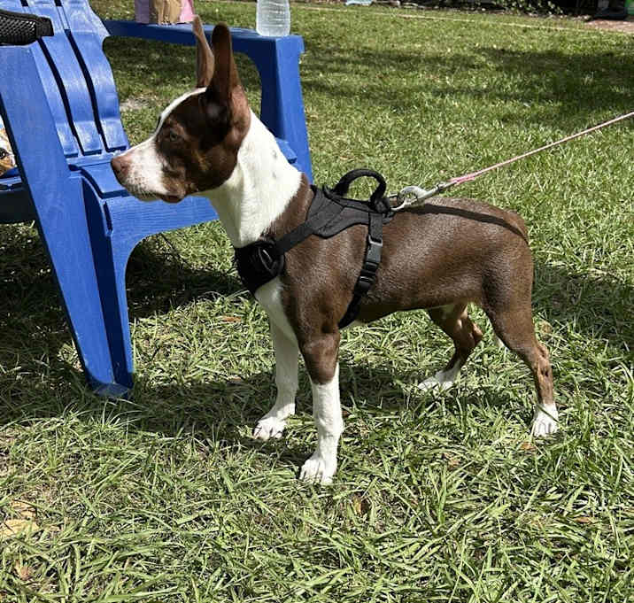 Photo of Hazel
