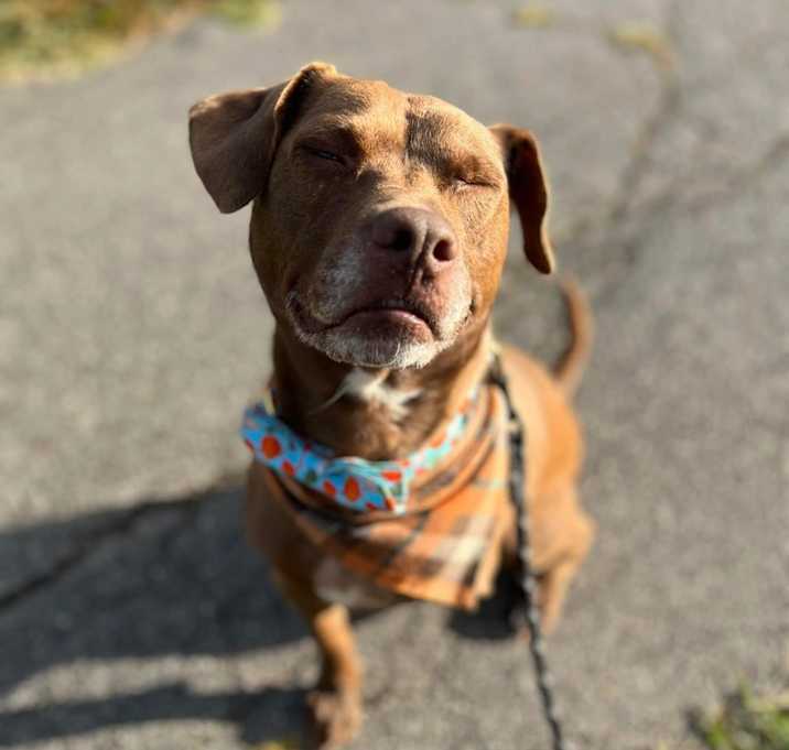 Photo of Charlie