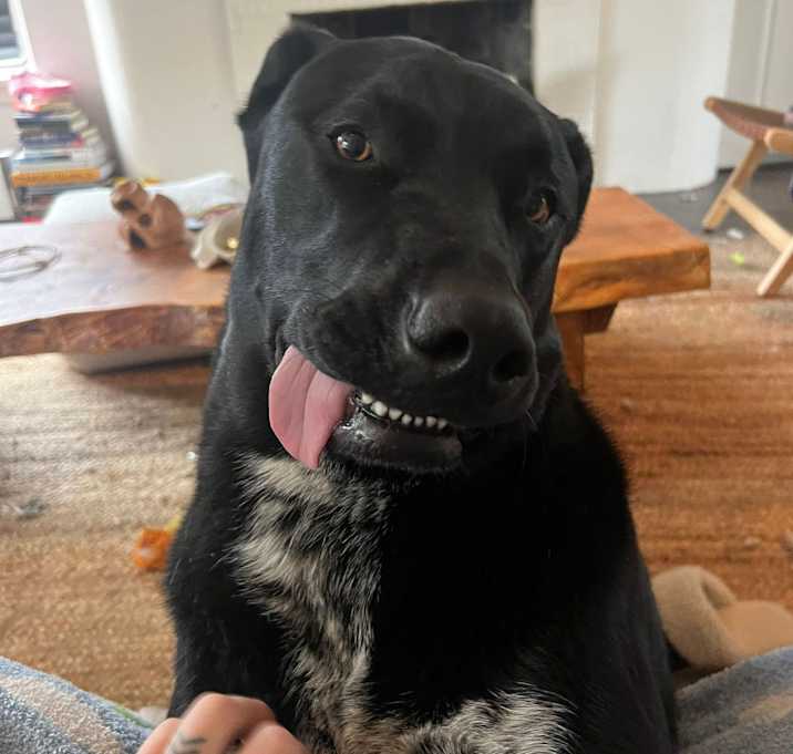 Photo of Axel