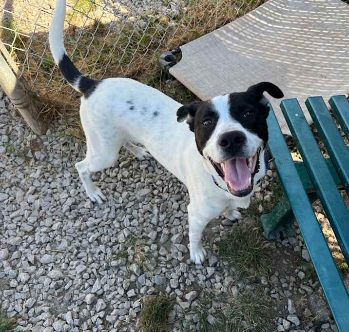 Photo of Rummy