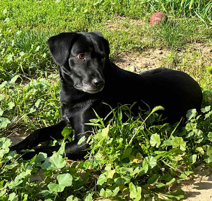 Photo of Lucy