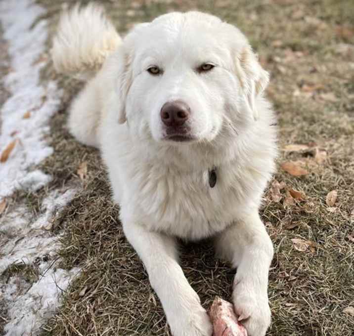 Photo of May/Yeti