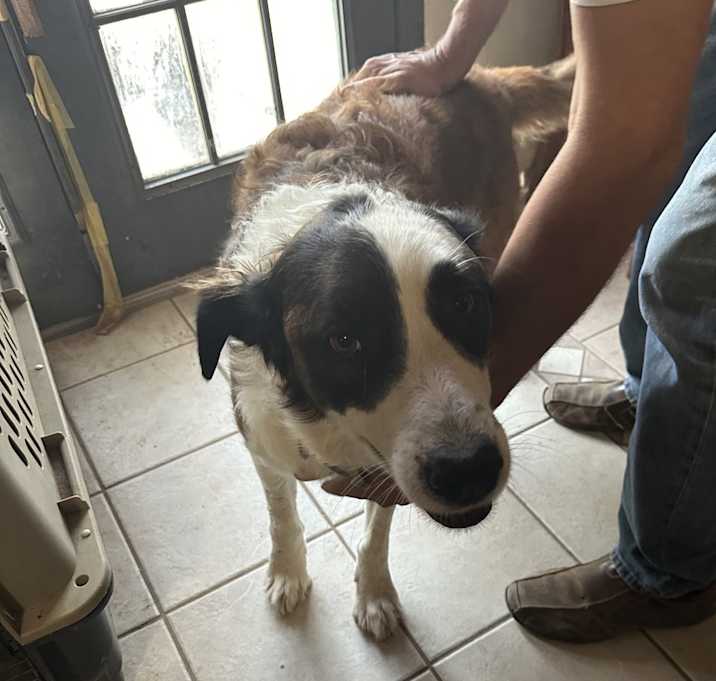 Photo of Maggie McGregor