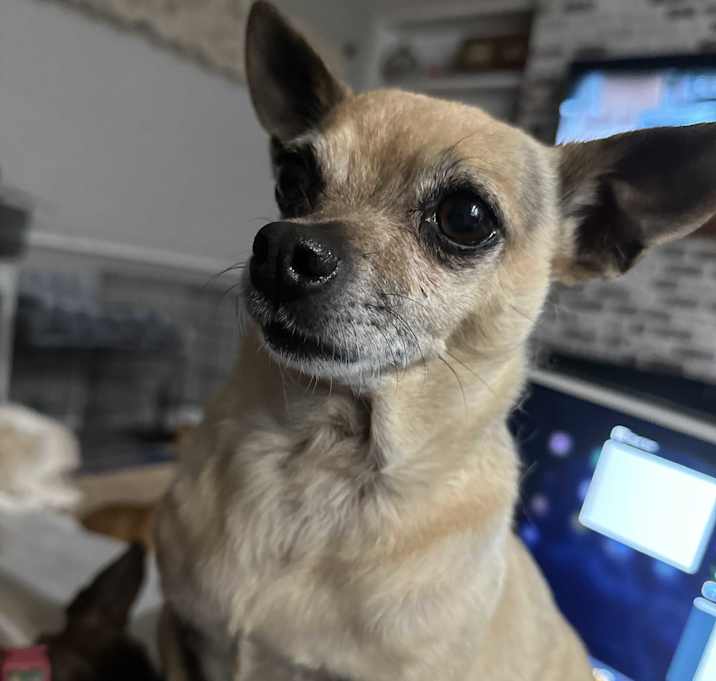 Photo of Lala