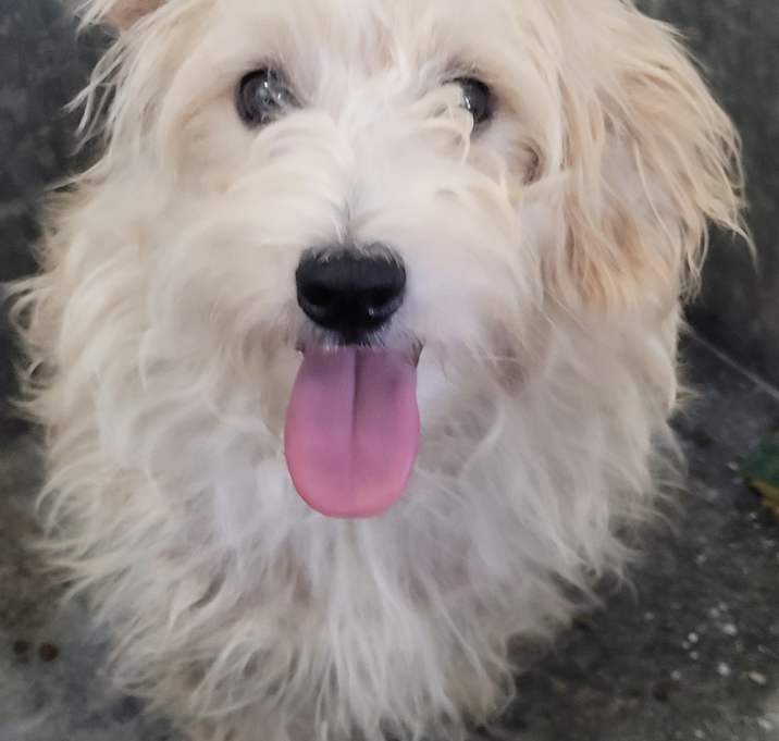 Photo of Winnie