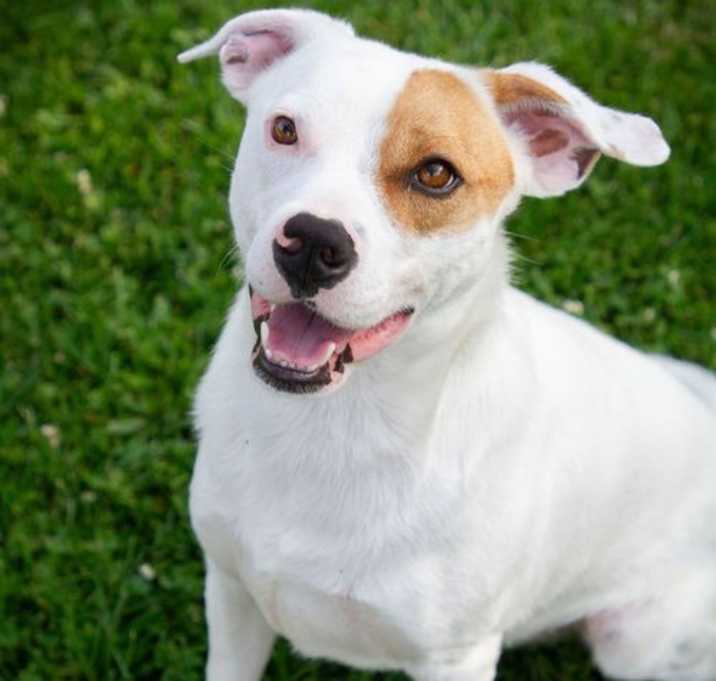 Photo of Simba