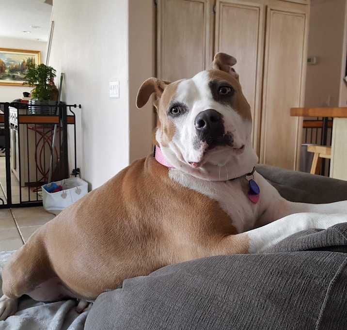 Photo of Darla CP