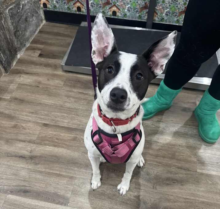 Photo of Miss Misty