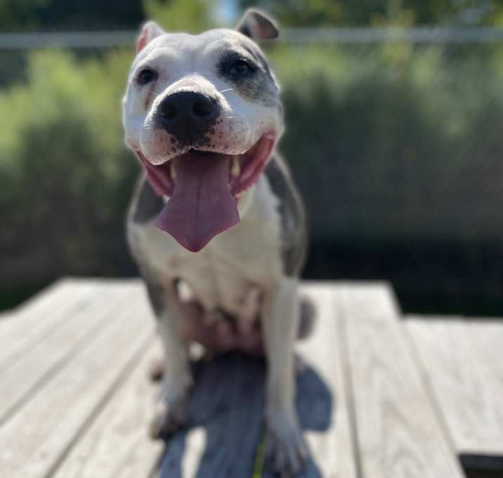 Photo of Kali