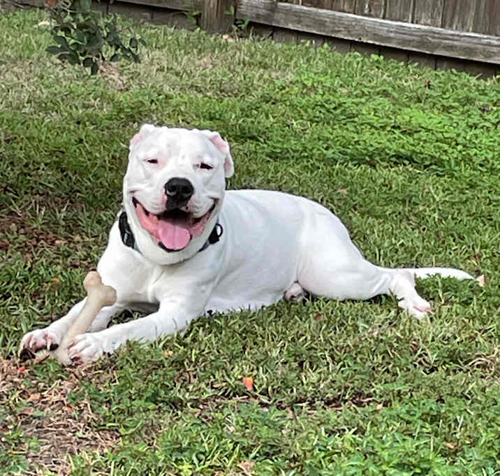 Photo of Chance