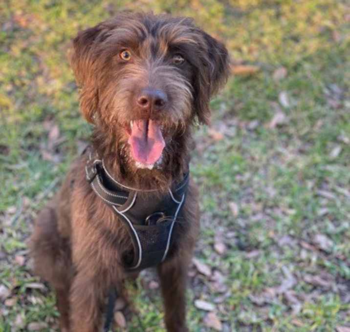 Photo of Charlie