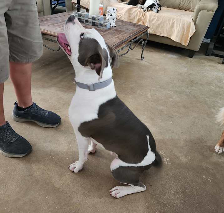 Photo of Bruce