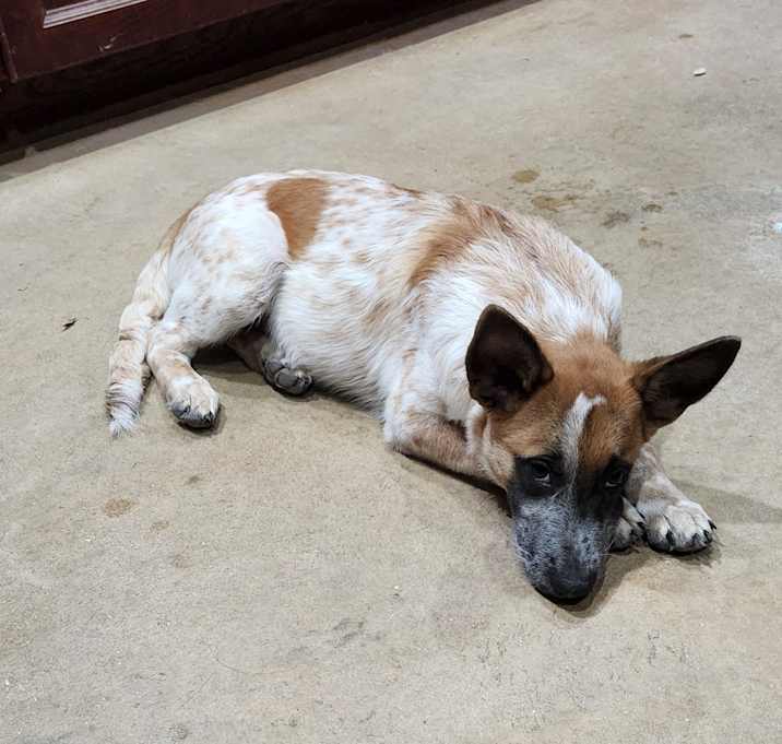 Photo of Julio