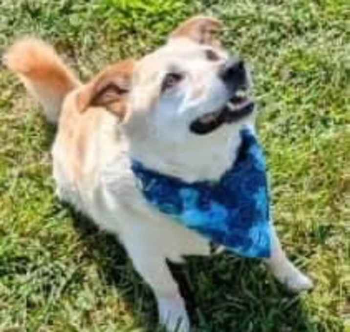 Photo of Mason