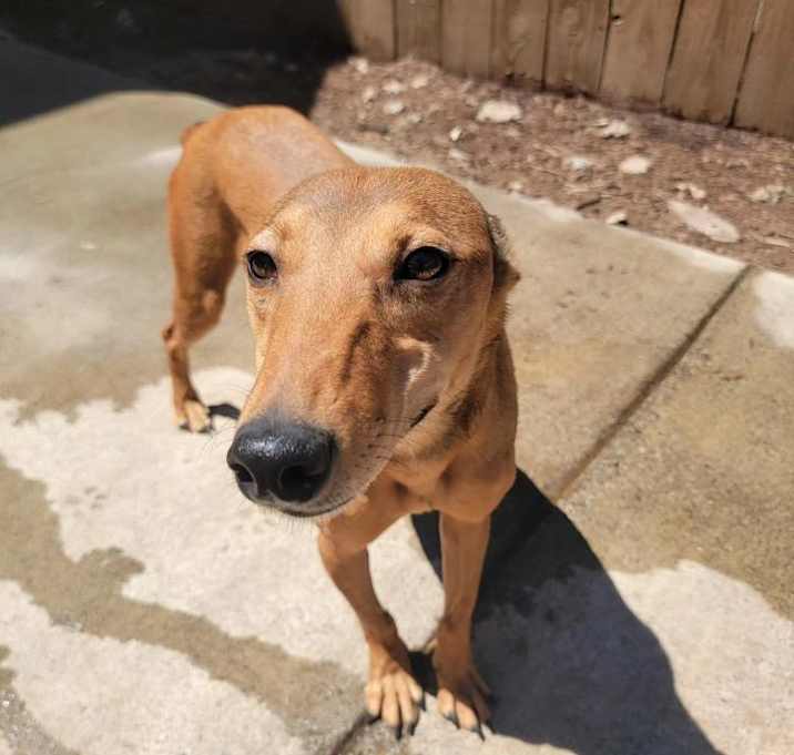 Photo of Carmel