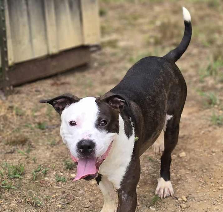 Photo of Chuck