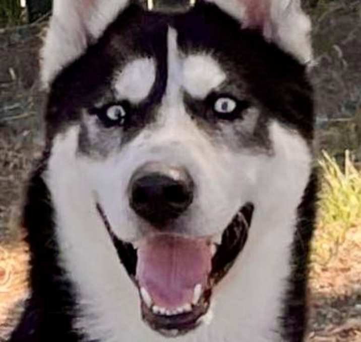 Photo of Aspen