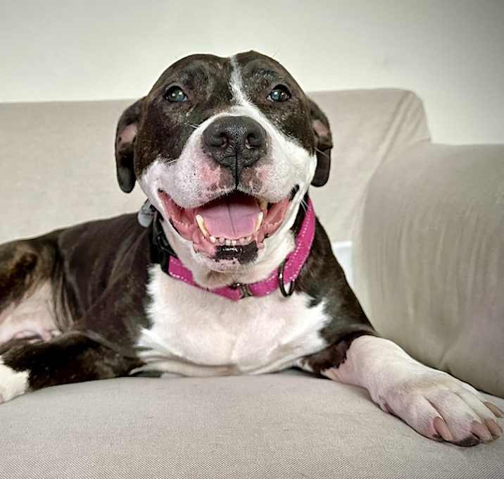 Photo of Sophie