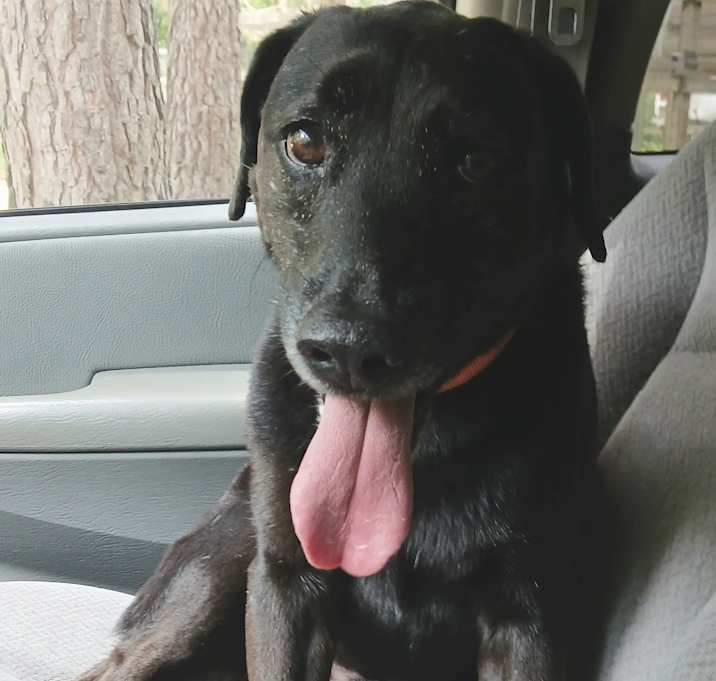 Photo of Charley
