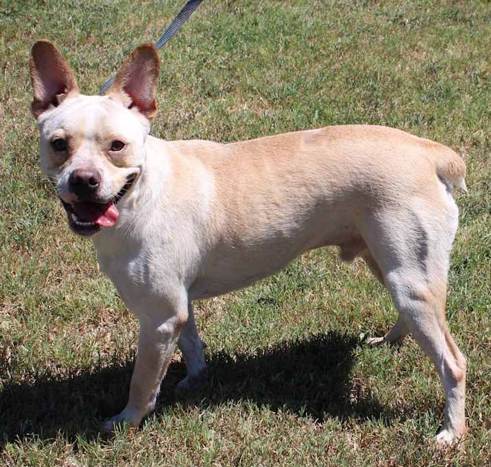 Photo of Cooper