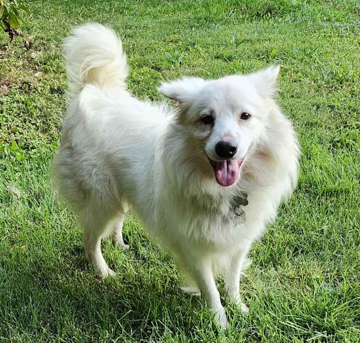 Photo of Amos-St. Louis, MO