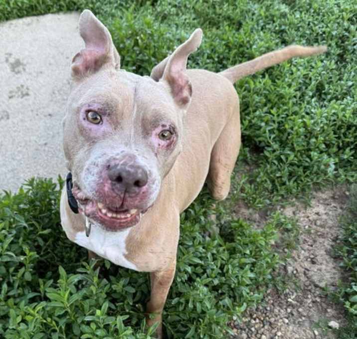 Photo of Baby Girl