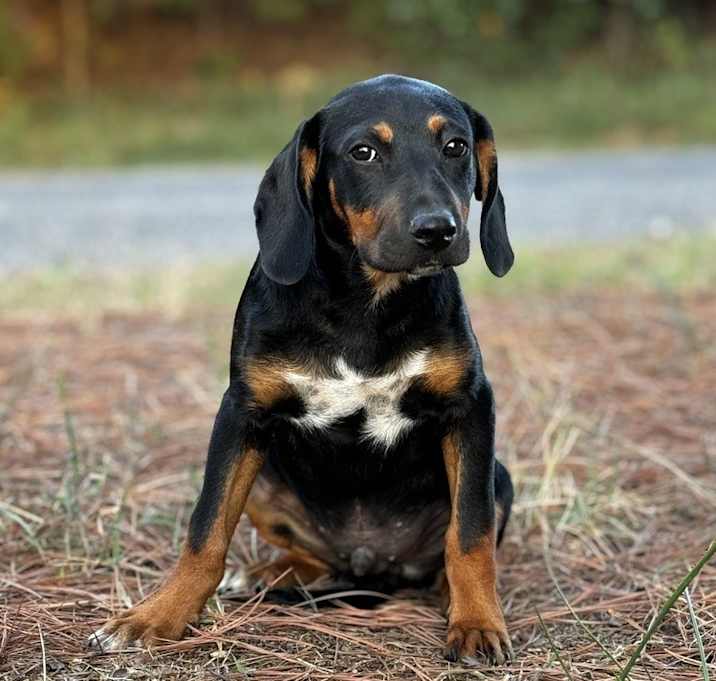 Photo of Axel